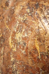 detail of Letizia sitting