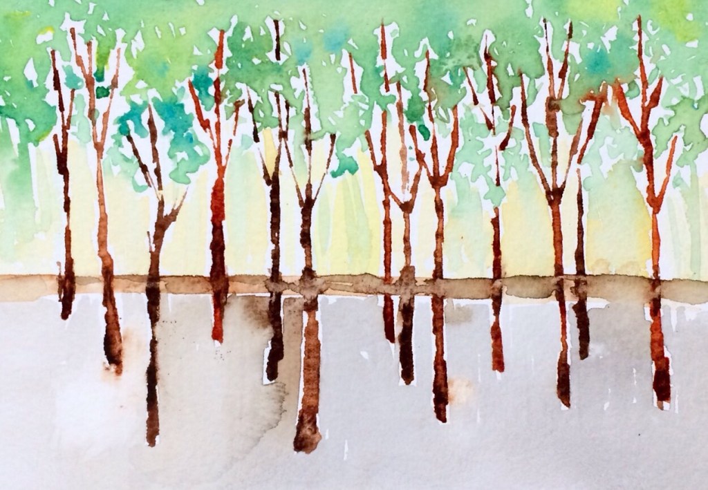 Observed sketches﻿